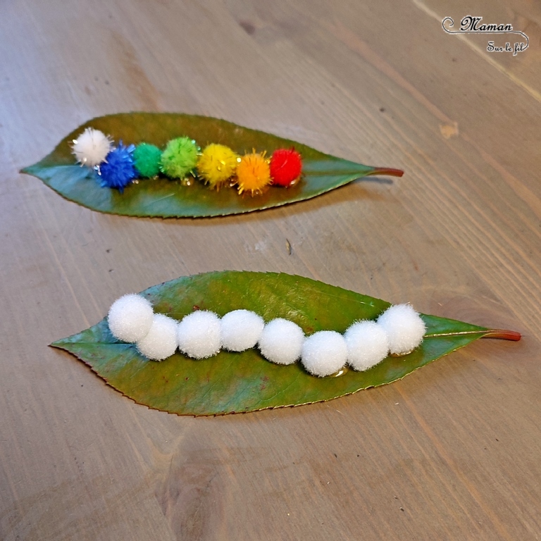 Fabriquer des chenilles en pompons : une activité créative et manuelle pour les enfants - Land art et collage - Chenilles multicolore, arc-en-ciel et blanche sur leur feuille - Bricolage mignon, facile et rapide DIY et fait maison - Nature - Décoration - Pour le printemps ou un thème sur les insectes ou les papillons - Arts visuels Maternelle et élémentaire - Créativité - Cycle 1 ou 2 - tutoriel photos - mslf