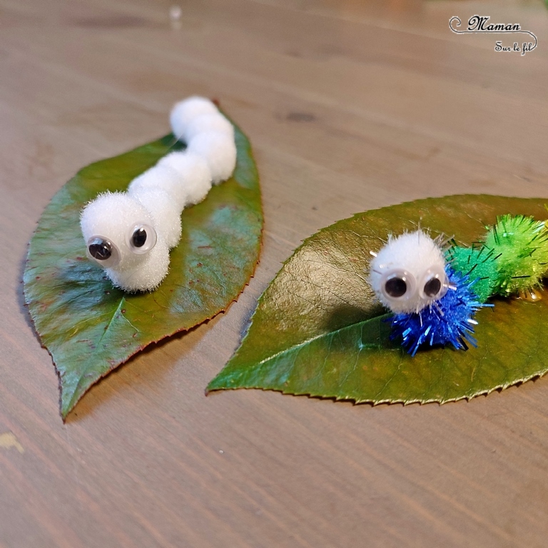 Fabriquer des chenilles en pompons : une activité créative et manuelle pour les enfants - Land art et collage - Chenilles multicolore, arc-en-ciel et blanche sur leur feuille - Bricolage mignon, facile et rapide DIY et fait maison - Nature - Décoration - Pour le printemps ou un thème sur les insectes ou les papillons - Arts visuels Maternelle et élémentaire - Créativité - Cycle 1 ou 2 - tutoriel photos - mslf