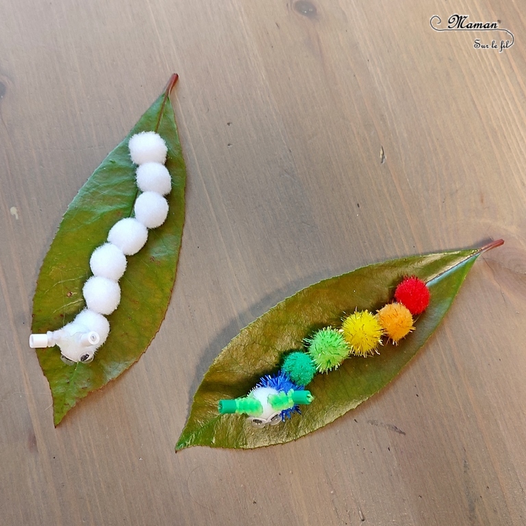 Fabriquer des chenilles en pompons : une activité créative et manuelle pour les enfants - Land art et collage - Chenilles multicolore, arc-en-ciel et blanche sur leur feuille - Bricolage mignon, facile et rapide DIY et fait maison - Nature - Décoration - Pour le printemps ou un thème sur les insectes ou les papillons - Arts visuels Maternelle et élémentaire - Créativité - Cycle 1 ou 2 - tutoriel photos - mslf