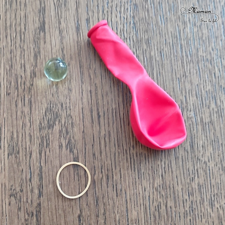 Fabriquer une coccinelle culbuto avec un ballon : un bricolage rigolo pour enfants - activité créative et manuelle, jeu DIY, atelier maternelle - Coccinelle qui danse - Motricité fine, peinture, dessin - Ballon de baudruche, bille et fil chenille - Jeu facile et fait maison - Pour le printemps ou un thème sur les insectes - Arts visuels Maternelle et élémentaire - Créativité - Cycle 1 ou 2 - tutoriel photos et vidéo - mslf