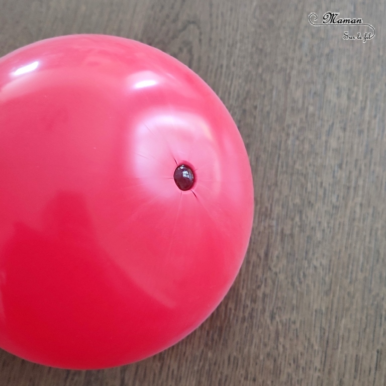 Fabriquer une coccinelle culbuto avec un ballon : un bricolage rigolo pour enfants - activité créative et manuelle, jeu DIY, atelier maternelle - Coccinelle qui danse - Motricité fine, peinture, dessin - Ballon de baudruche, bille et fil chenille - Jeu facile et fait maison - Pour le printemps ou un thème sur les insectes - Arts visuels Maternelle et élémentaire - Créativité - Cycle 1 ou 2 - tutoriel photos et vidéo - mslf