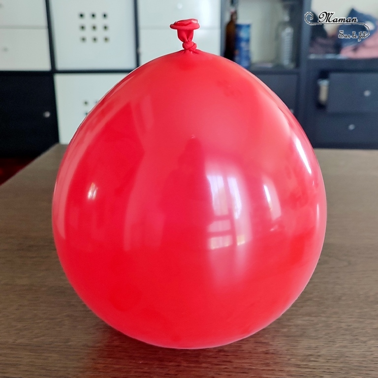 Fabriquer une coccinelle culbuto avec un ballon : un bricolage rigolo pour enfants - activité créative et manuelle, jeu DIY, atelier maternelle - Coccinelle qui danse - Motricité fine, peinture, dessin - Ballon de baudruche, bille et fil chenille - Jeu facile et fait maison - Pour le printemps ou un thème sur les insectes - Arts visuels Maternelle et élémentaire - Créativité - Cycle 1 ou 2 - tutoriel photos et vidéo - mslf