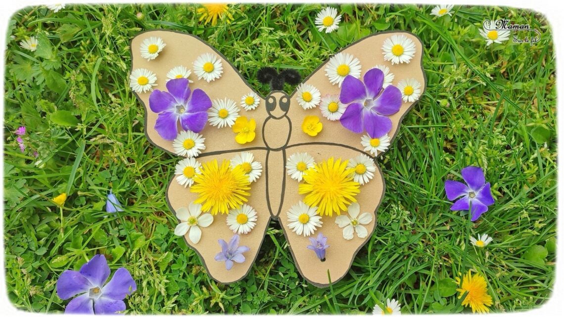 Activité créative et manuelle enfants - Fabriquer un papillon en carton et en fleurs, pâquerettes, pissenlits... - Récup, recyclage, surcyclage - Découpage, bricolage, dessin, jeu DIY - Motricité fine et nature - Land art avec fleurs - Mettre les fleurs dans les trous - Décoration - Bricolage facile et rapide pour le printemps ou un thème sur les insectes - Arts visuels Maternelle et élémentaire - Créativité - Cycle 1 ou 2 - travail autour de la symétrie possible - tutoriel photos - mslf