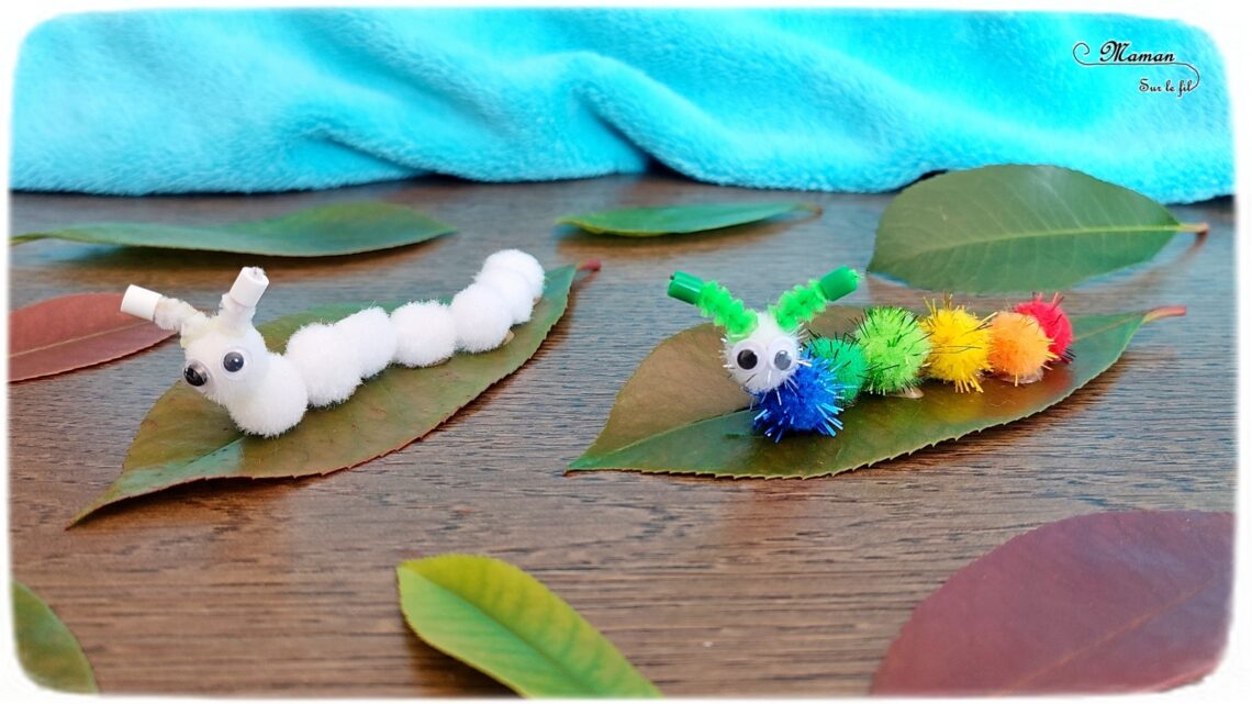 Fabriquer des chenilles en pompons : une activité créative et manuelle pour les enfants - Land art et collage - Chenilles multicolore, arc-en-ciel et blanche sur leur feuille - Bricolage mignon, facile et rapide DIY et fait maison - Nature - Décoration - Pour le printemps ou un thème sur les insectes ou les papillons - Arts visuels Maternelle et élémentaire - Créativité - Cycle 1 ou 2 - tutoriel photos - mslf