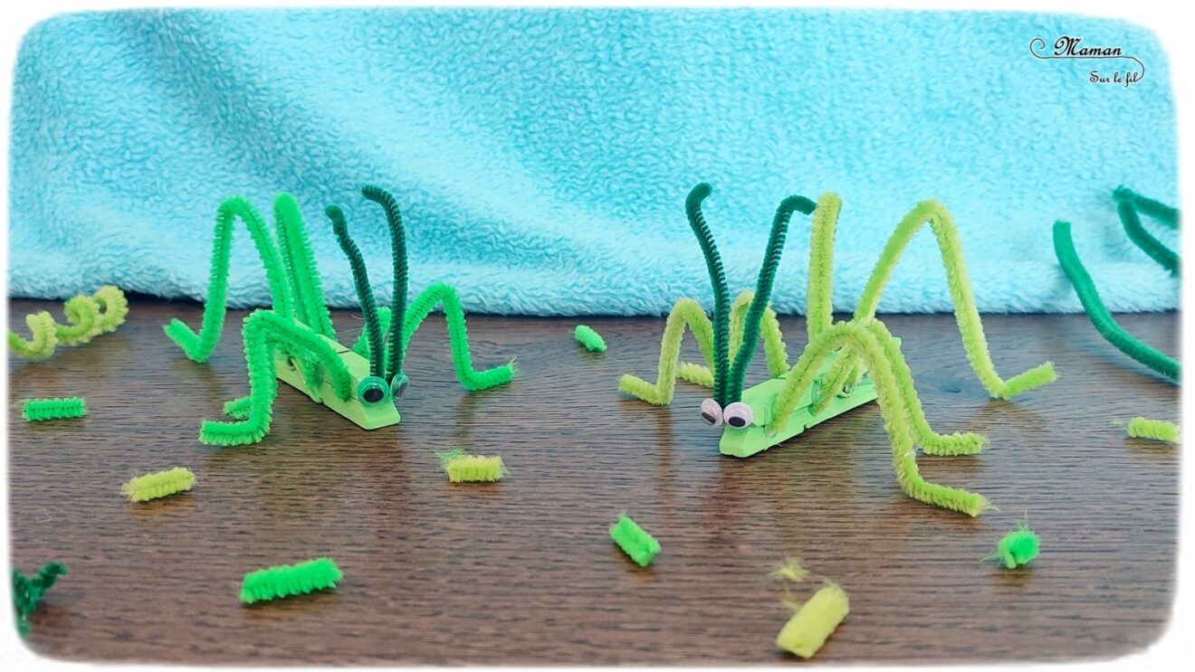 Sauterelle avec une pince à linge {Activité} - Maman Sur Le Fil