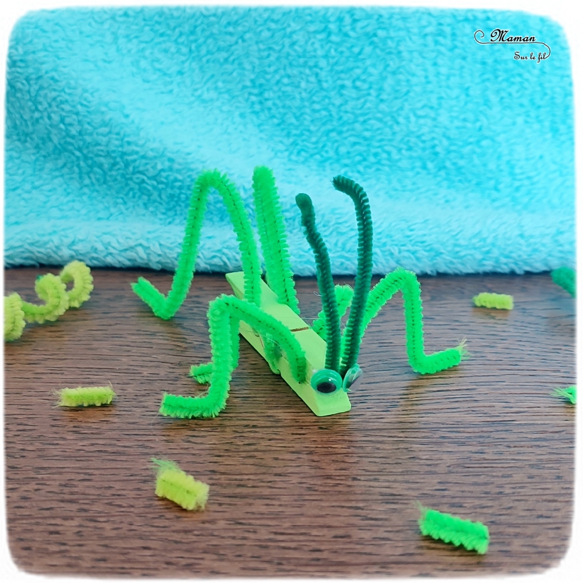 Sauterelle avec une pince à linge {Activité} Maman Sur Le Fil — free download