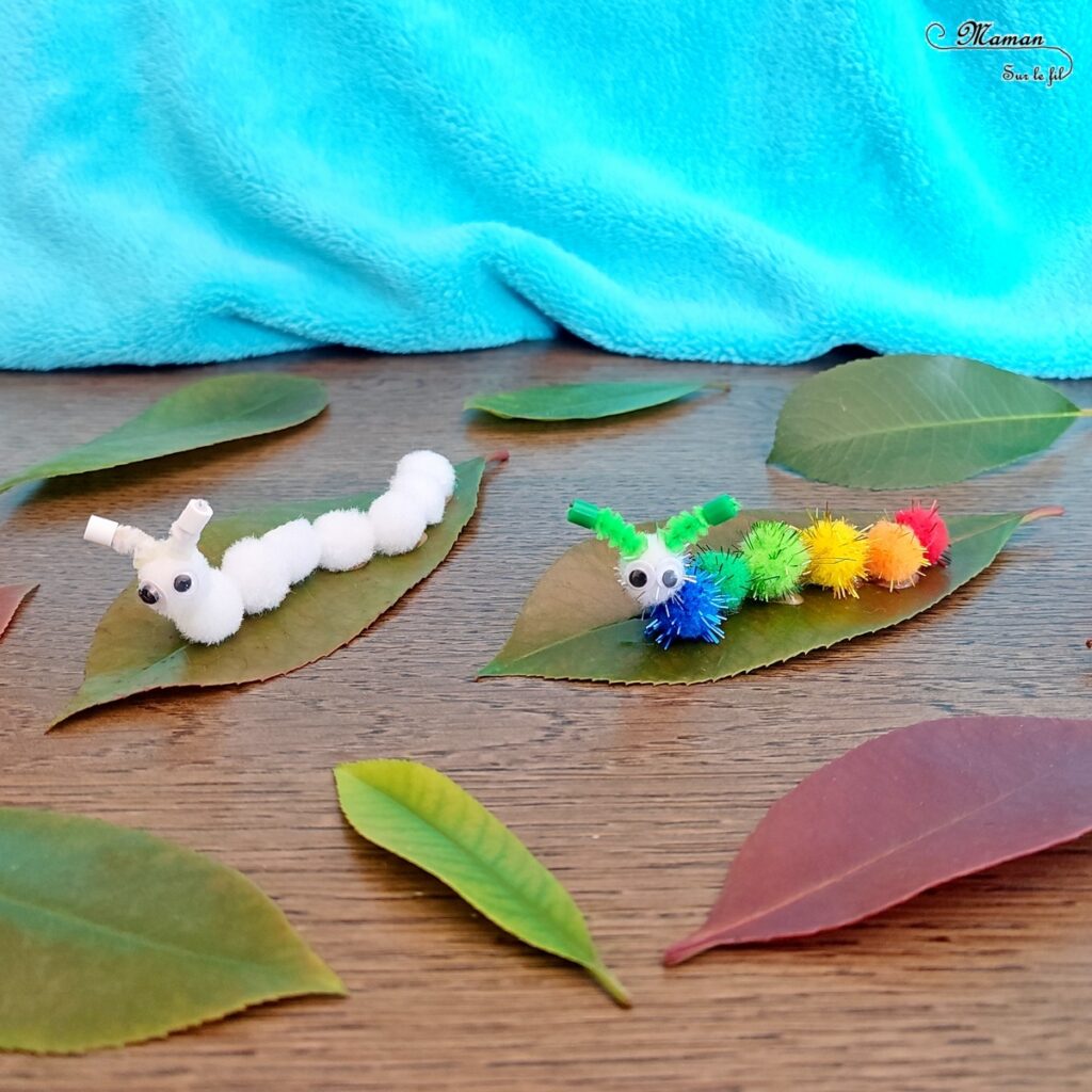 Fabriquer des chenilles en pompons : une activité créative et manuelle pour les enfants - Land art et collage - Chenilles multicolore, arc-en-ciel et blanche sur leur feuille - Bricolage mignon, facile et rapide DIY et fait maison - Nature - Décoration - Pour le printemps ou un thème sur les insectes ou les papillons - Arts visuels Maternelle et élémentaire - Créativité - Cycle 1 ou 2 - tutoriel photos - mslf