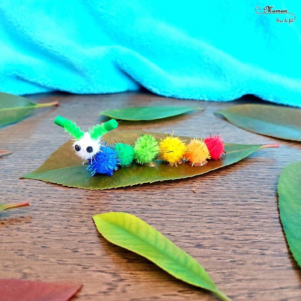 Fabriquer des chenilles en pompons : une activité créative et manuelle pour les enfants - Land art et collage - Chenilles multicolore, arc-en-ciel et blanche sur leur feuille - Bricolage mignon, facile et rapide DIY et fait maison - Nature - Décoration - Pour le printemps ou un thème sur les insectes ou les papillons - Arts visuels Maternelle et élémentaire - Créativité - Cycle 1 ou 2 - tutoriel photos - mslf