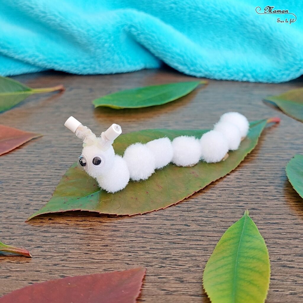 Fabriquer des chenilles en pompons : une activité créative et manuelle pour les enfants - Land art et collage - Chenilles multicolore, arc-en-ciel et blanche sur leur feuille - Bricolage mignon, facile et rapide DIY et fait maison - Nature - Décoration - Pour le printemps ou un thème sur les insectes ou les papillons - Arts visuels Maternelle et élémentaire - Créativité - Cycle 1 ou 2 - tutoriel photos - mslf