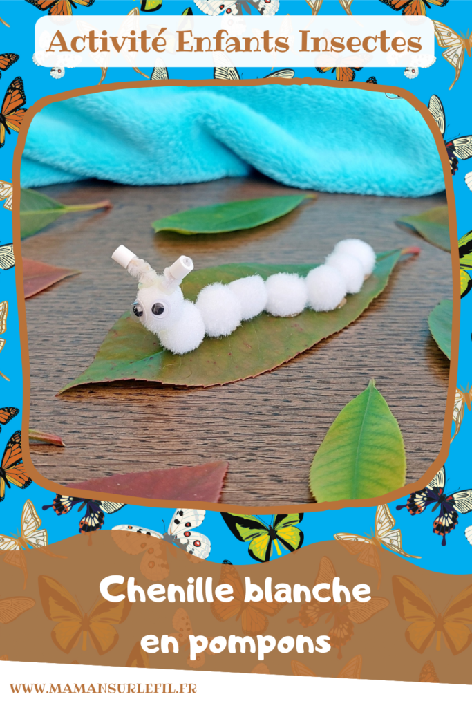 Fabriquer des chenilles en pompons : une activité créative et manuelle pour les enfants - Land art et collage - Chenilles multicolore, arc-en-ciel et blanche sur leur feuille - Bricolage mignon, facile et rapide DIY et fait maison - Nature - Décoration - Pour le printemps ou un thème sur les insectes ou les papillons - Arts visuels Maternelle et élémentaire - Créativité - Cycle 1 ou 2 - tutoriel photos - mslf