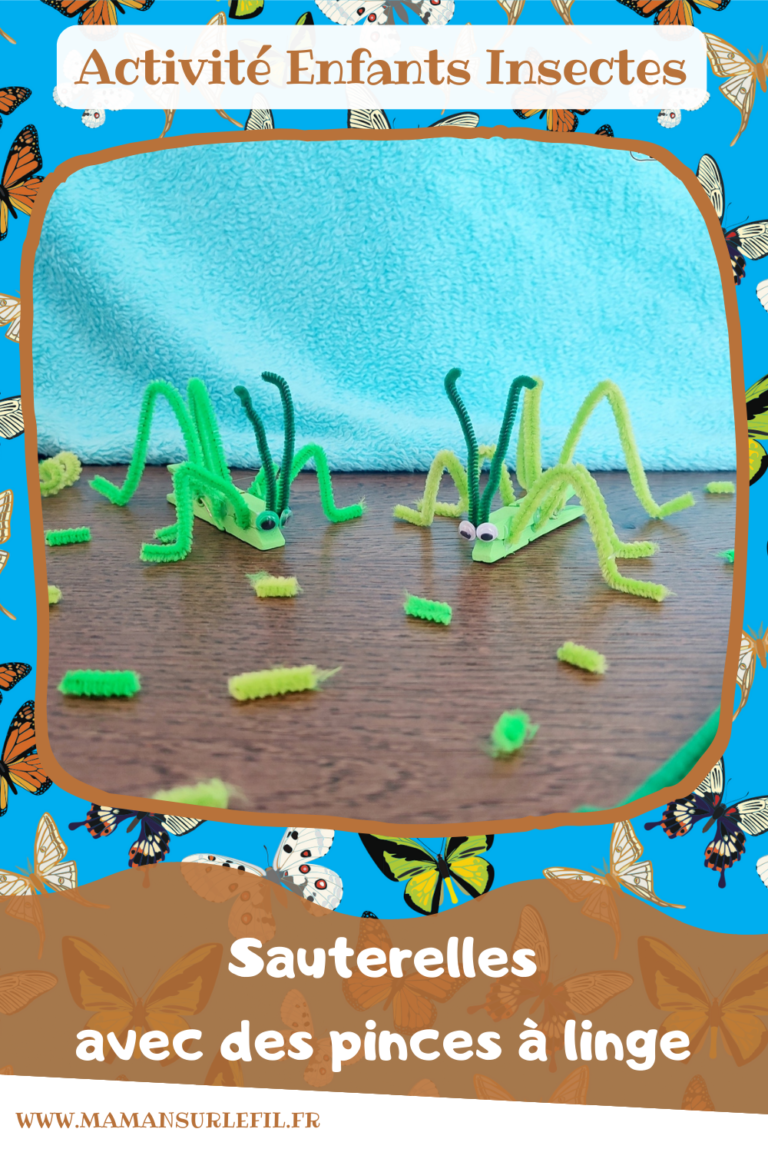 Sauterelle avec une pince à linge {Activité} Maman Sur Le Fil — free download