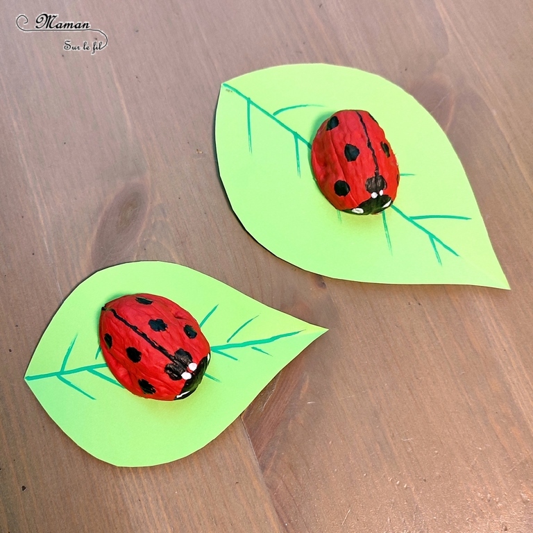 Activité créative et manuelle enfants - Fabriquer des coccinelles avec des coquilles de noix - Bricolage Récup', Nature, Land art, peinture et Dessin - Découpage feuilles en papier - recyclage, surcyclage - Bricolage facile et rigolo pour le printemps ou un thème sur les insectes, petites bêtes et animaux - Arts visuels Maternelle et élémentaire - Créativité - Cycle 1 ou 2 - Tutoriel Photos - mslf