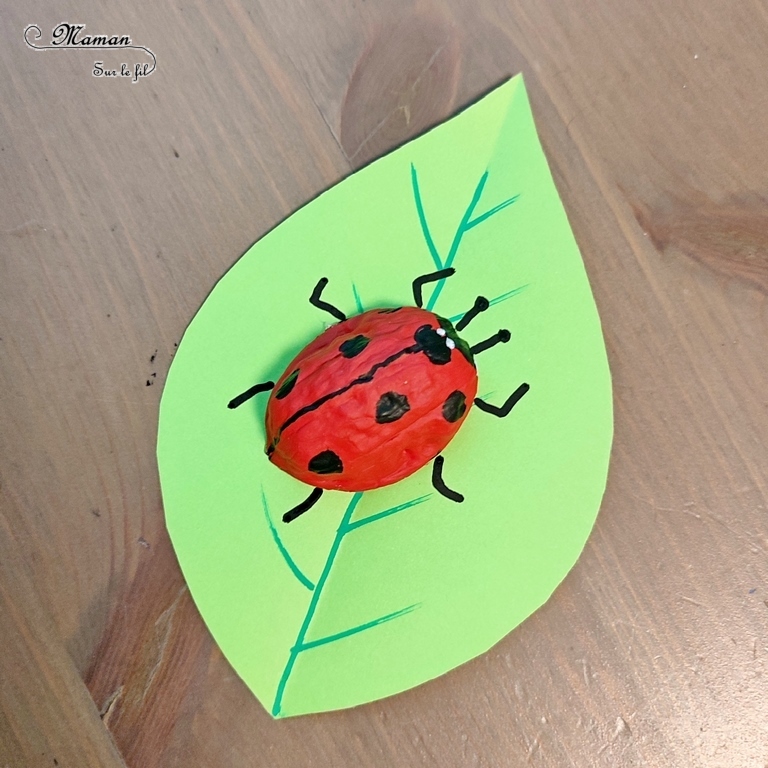 Activité créative et manuelle enfants - Fabriquer des coccinelles avec des coquilles de noix - Bricolage Récup', Nature, Land art, peinture et Dessin - Découpage feuilles en papier - recyclage, surcyclage - Bricolage facile et rigolo pour le printemps ou un thème sur les insectes, petites bêtes et animaux - Arts visuels Maternelle et élémentaire - Créativité - Cycle 1 ou 2 - Tutoriel Photos - mslf