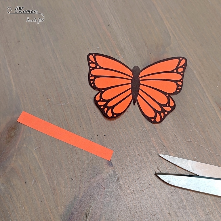 Activité créative et manuelle / bricolage enfants - Fabriquer un papillon qui vole et bat des ailes avec une pince à linge - Récup', recyclage, surcyclage - Papier, découpage, collage - Jeu DIY rigolo - Décoration - Bricolage pour le printemps ou un thème sur les insectes et autres petites bêtes du jardin - animaux - Arts visuels Maternelle et élémentaire - Créativité - Cycle 1 ou 2 - Tutoriel Photos et vidéos - mslf