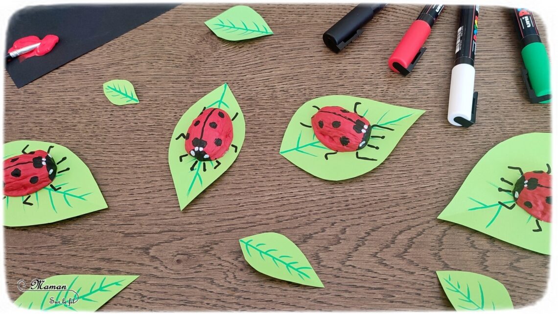 Activité créative et manuelle enfants - Fabriquer des coccinelles avec des coquilles de noix - Bricolage Récup', Nature, Land art, peinture et Dessin - Découpage feuilles en papier - recyclage, surcyclage - Bricolage facile et rigolo pour le printemps ou un thème sur les insectes, petites bêtes et animaux - Arts visuels Maternelle et élémentaire - Créativité - Cycle 1 ou 2 - Tutoriel Photos - mslf