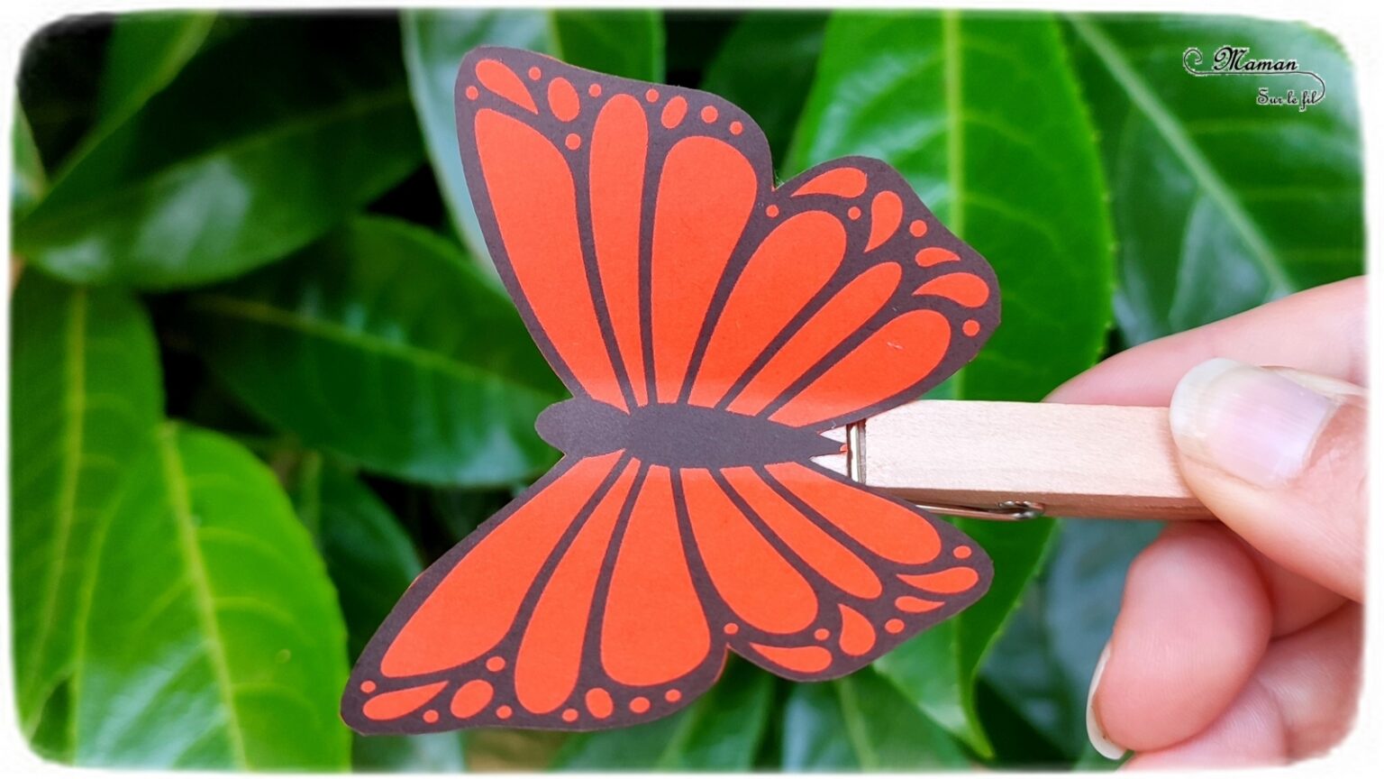 Papillon qui vole avec une pince à linge {Activité} Maman Sur Le Fil — free download