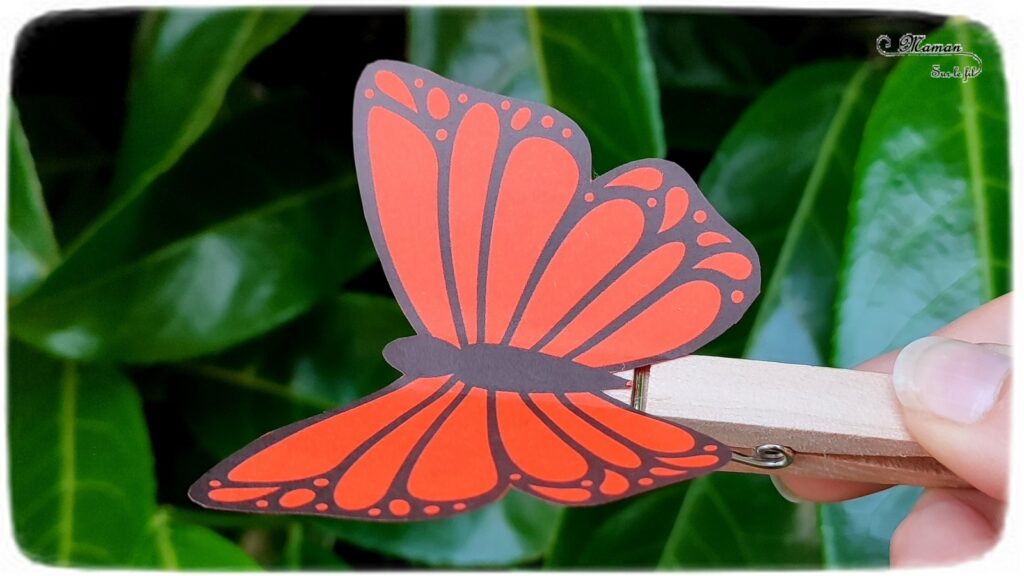 Activité créative et manuelle / bricolage enfants - Fabriquer un papillon qui vole et bat des ailes avec une pince à linge - Récup', recyclage, surcyclage - Papier, découpage, collage - Jeu DIY rigolo - Décoration - Bricolage pour le printemps ou un thème sur les insectes et autres petites bêtes du jardin - animaux - Arts visuels Maternelle et élémentaire - Créativité - Cycle 1 ou 2 - Tutoriel Photos et vidéos - mslf