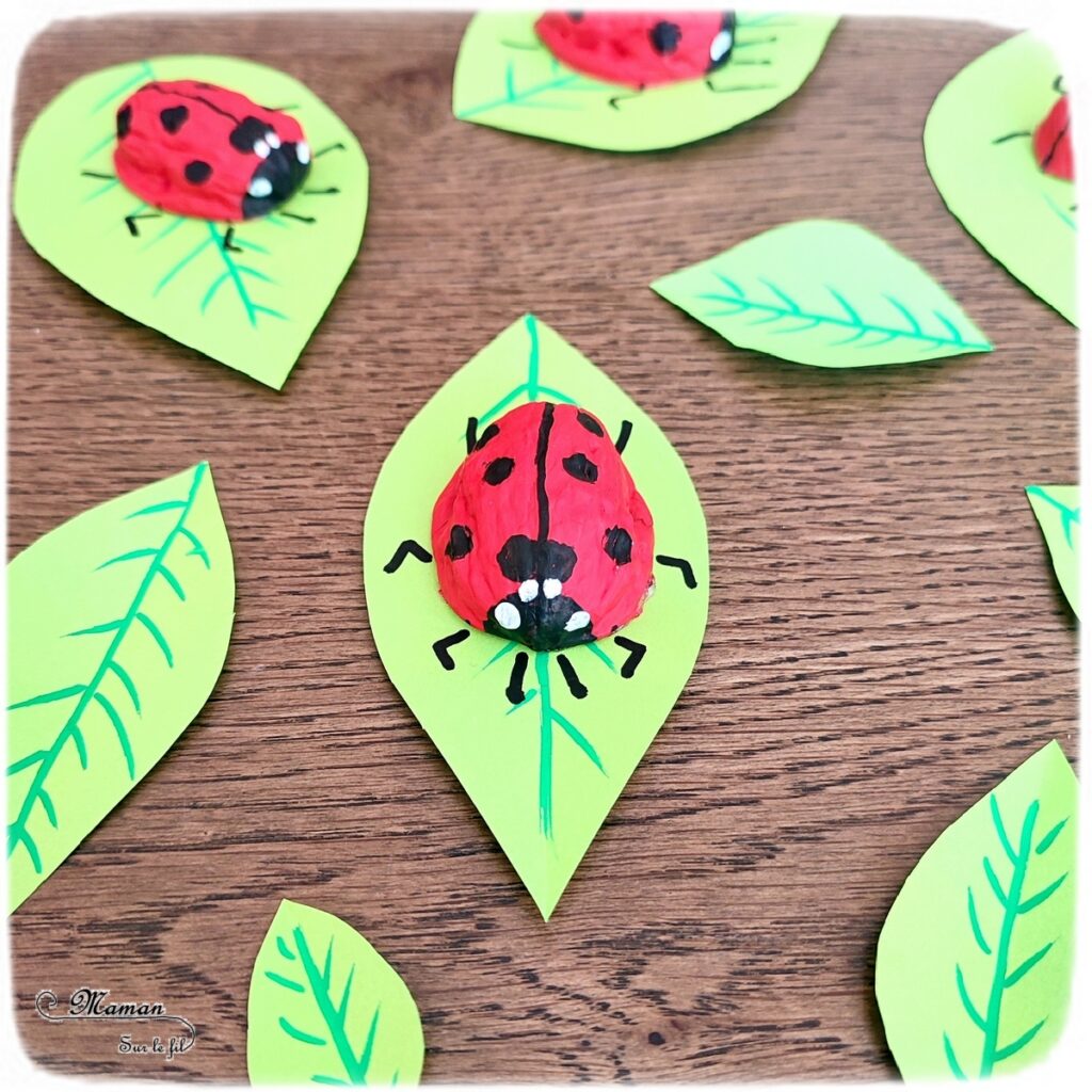 Activité créative et manuelle enfants - Fabriquer des coccinelles avec des coquilles de noix - Bricolage Récup', Nature, Land art, peinture et Dessin - Découpage feuilles en papier - recyclage, surcyclage - Bricolage facile et rigolo pour le printemps ou un thème sur les insectes, petites bêtes et animaux - Arts visuels Maternelle et élémentaire - Créativité - Cycle 1 ou 2 - Tutoriel Photos - mslf