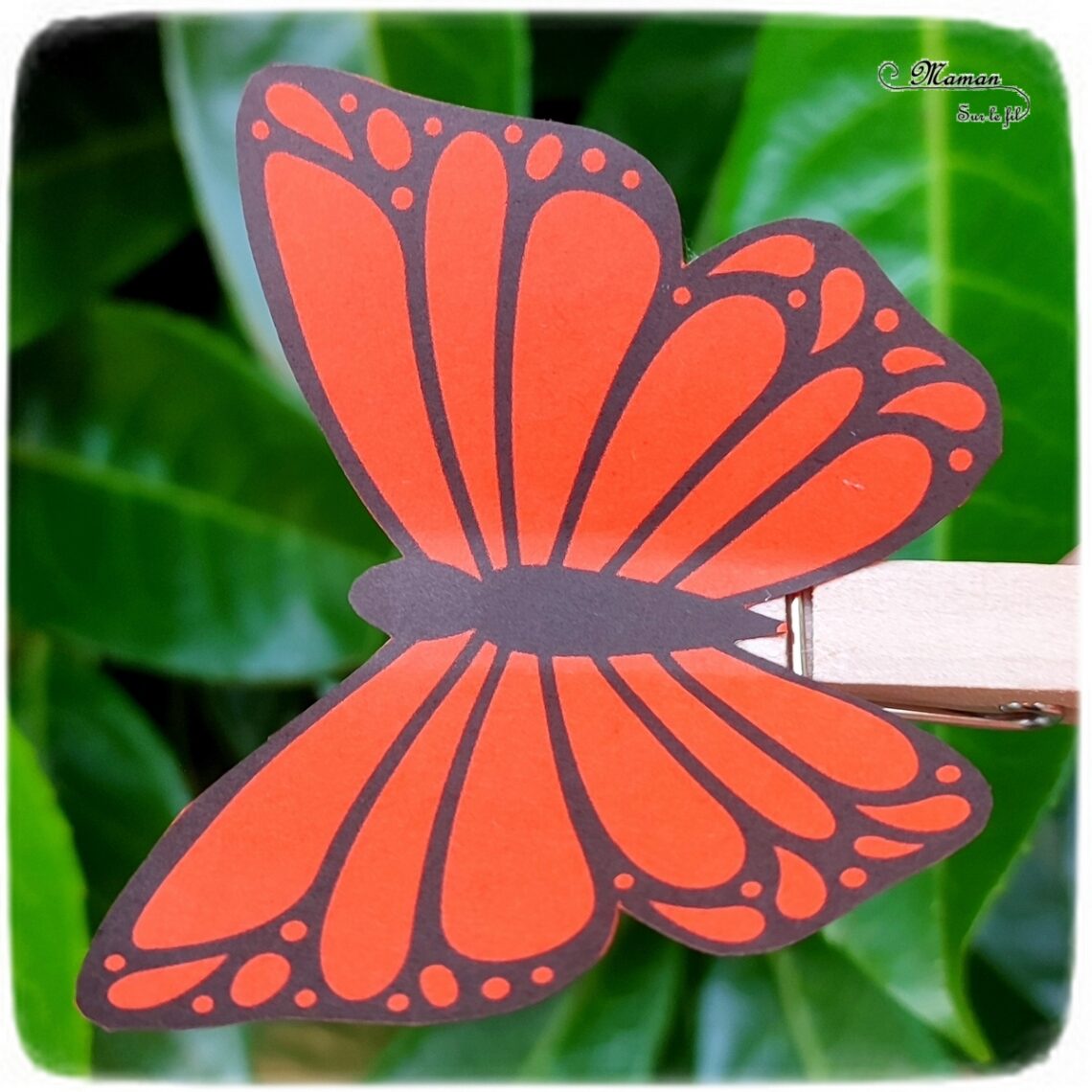 Tige NOS GB Norma taille 70 mm avec pince barre 25,4 mm