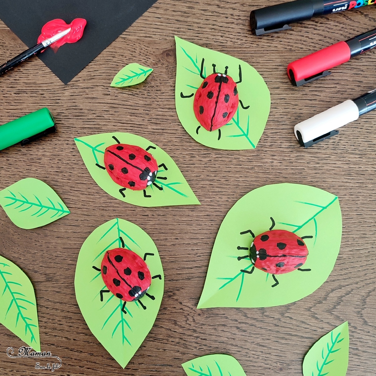 Activité créative et manuelle enfants - Fabriquer des coccinelles avec des coquilles de noix - Bricolage Récup', Nature, Land art, peinture et Dessin - Découpage feuilles en papier - recyclage, surcyclage - Bricolage facile et rigolo pour le printemps ou un thème sur les insectes, petites bêtes et animaux - Arts visuels Maternelle et élémentaire - Créativité - Cycle 1 ou 2 - Tutoriel Photos - mslf