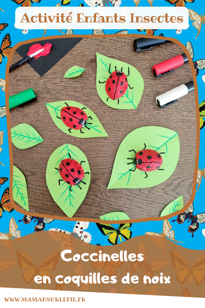 Activité créative et manuelle enfants - Fabriquer des coccinelles avec des coquilles de noix - Bricolage Récup', Nature, Land art, peinture et Dessin - Découpage feuilles en papier - recyclage, surcyclage - Bricolage facile et rigolo pour le printemps ou un thème sur les insectes, petites bêtes et animaux - Arts visuels Maternelle et élémentaire - Créativité - Cycle 1 ou 2 - Tutoriel Photos - mslf