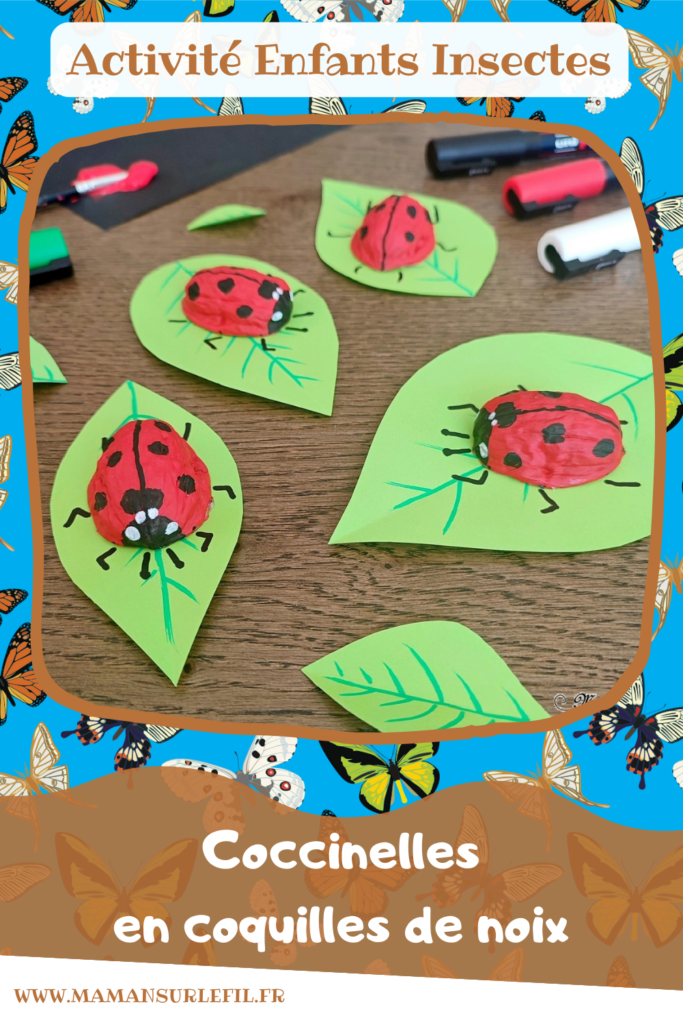 Activité créative et manuelle enfants - Fabriquer des coccinelles avec des coquilles de noix - Bricolage Récup', Nature, Land art, peinture et Dessin - Découpage feuilles en papier - recyclage, surcyclage - Bricolage facile et rigolo pour le printemps ou un thème sur les insectes, petites bêtes et animaux - Arts visuels Maternelle et élémentaire - Créativité - Cycle 1 ou 2 - Tutoriel Photos - mslf