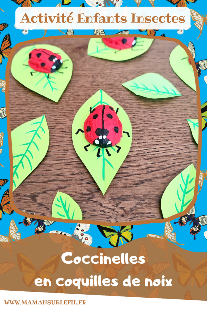 Activité créative et manuelle enfants - Fabriquer des coccinelles avec des coquilles de noix - Bricolage Récup', Nature, Land art, peinture et Dessin - Découpage feuilles en papier - recyclage, surcyclage - Bricolage facile et rigolo pour le printemps ou un thème sur les insectes, petites bêtes et animaux - Arts visuels Maternelle et élémentaire - Créativité - Cycle 1 ou 2 - Tutoriel Photos - mslf