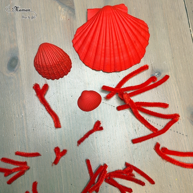 Activité créative et manuelle enfants - Fabriquer des crabes avec des coquillages - Bricolage en Récup' Nature - Land art - Peinture, yeux mobiles et fils chenille - Décoration pour utiliser les trésors des vacances ramassés sur la plage - Recyclage, surcyclage - Atelier nature - Bricolage facile et rapide pour un thème sur les animaux marins et de la plage - Arts visuels et atelier Maternelle et élémentaire - Créativité - Cycle 1 ou 2 - tutoriel photos - mslf