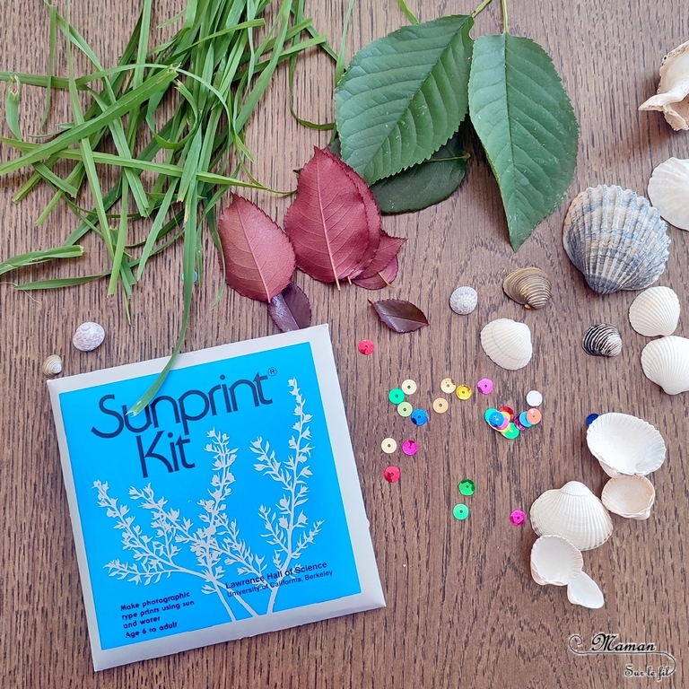 Activité créative et manuelle enfants - Créer des cyanotypes d'été : des animaux marins (poissons, méduse) avec des éléments naturels et coquillages - Expérience facile avec le soleil - Dessin et imagination - Land art et atelier nature - Récup' Nature - Utiliser les trésors des vacances ramassés sur la plage - Recyclage, surcyclage Bricolage facile et rapide pour un thème sur les animaux marins, la météo ou l'été - Arts visuels et atelier Maternelle et élémentaire - Créativité - Cycle 1 ou 2 - tutoriel photos - mslf