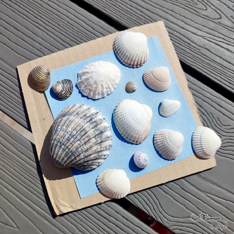 Activité créative et manuelle enfants - Créer une queue de baleine avec des coquillages et de la pâte autodurcissante - Récup' Nature - Land art - Collage et motricité fine - Utiliser les trésors des vacances ramassés sur la plage - Recyclage, surcyclage - Atelier nature - Couleur sable - Bricolage facile et rapide pour un thème sur les animaux marins et du froid - Arts visuels et atelier Maternelle et élémentaire - Créativité - Cycle 1 ou 2 - tutoriel photos - mslf