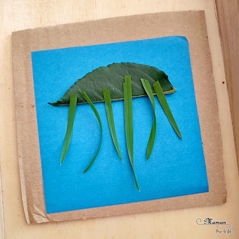 Activité créative et manuelle enfants - Créer une queue de baleine avec des coquillages et de la pâte autodurcissante - Récup' Nature - Land art - Collage et motricité fine - Utiliser les trésors des vacances ramassés sur la plage - Recyclage, surcyclage - Atelier nature - Couleur sable - Bricolage facile et rapide pour un thème sur les animaux marins et du froid - Arts visuels et atelier Maternelle et élémentaire - Créativité - Cycle 1 ou 2 - tutoriel photos - mslf