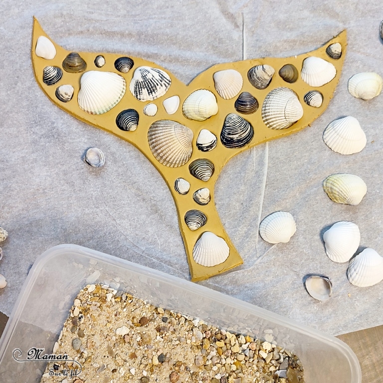 Activité créative et manuelle enfants - Créer une queue de baleine avec des coquillages et de la pâte autodurcissante - Récup' Nature - Land art - Collage et motricité fine - Utiliser les trésors des vacances ramassés sur la plage - Recyclage, surcyclage - Atelier nature - Couleur sable - Bricolage facile et rapide pour un thème sur les animaux marins et du froid - Arts visuels et atelier Maternelle et élémentaire - Créativité - Cycle 1 ou 2 - tutoriel photos - mslf