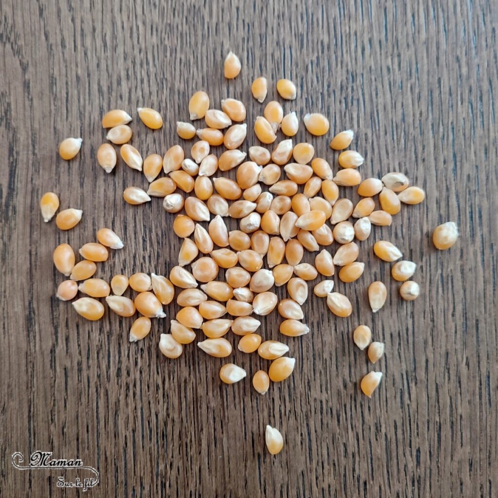 Expérience rigolote : Grains de maïs Poussins dansants - Activité créative et sensorielle pour enfants - Utiliser la réaction Bicarbonate t vinaigre blanc - Poussins qui bougent et qui dansent -exploration, observation - Bricolage facile et ludique pour un thème sur la ferme, les poules, Pâques l'alimentation ou l'agriculture - Atelier Maternelle et élémentaire - Créativité - Cycle 1 ou 2 - tutoriel photos et vidéos - mslf