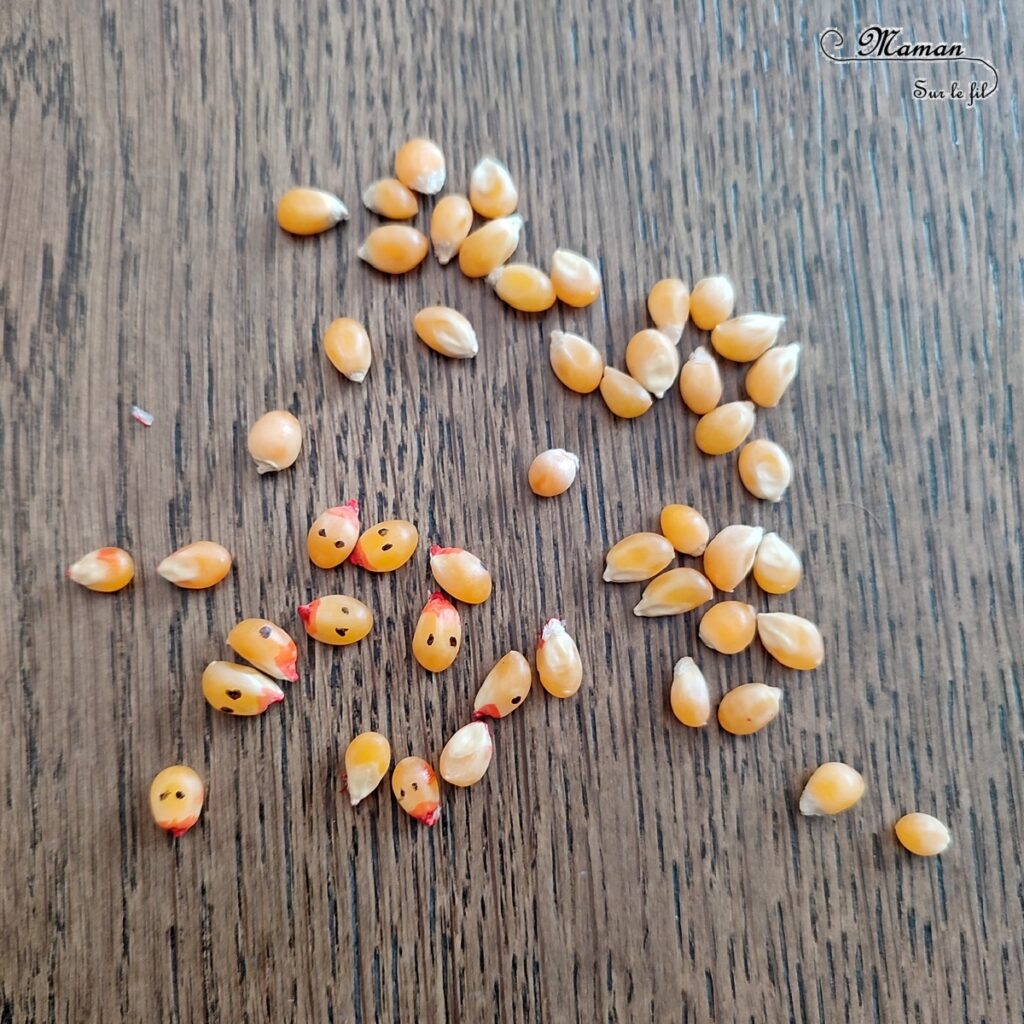 Expérience rigolote : Grains de maïs Poussins dansants - Activité créative et sensorielle pour enfants - Utiliser la réaction Bicarbonate t vinaigre blanc - Poussins qui bougent et qui dansent -exploration, observation - Bricolage facile et ludique pour un thème sur la ferme, les poules, Pâques l'alimentation ou l'agriculture - Atelier Maternelle et élémentaire - Créativité - Cycle 1 ou 2 - tutoriel photos et vidéos - mslf