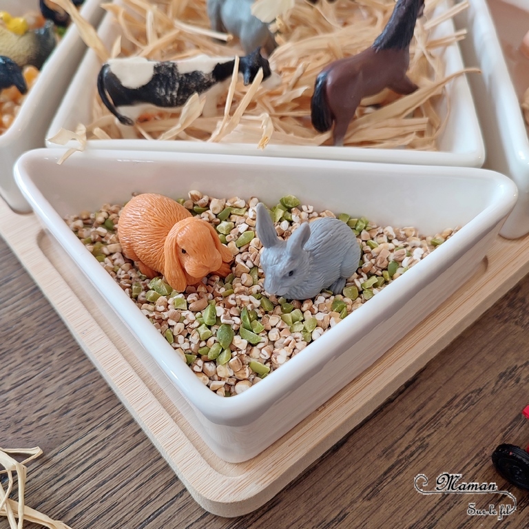 Activité créative et sensorielle pour enfants - Bac sensoriel des animaux de la ferme - Plusieurs compartiments comme invitation à jouer - Mini monde de la ferme - Cochons et boue en pâte à patouille, Oobleck - Poules, coqs, poussins et grains de maïs - Chevaux, ânes, vaches et raffia pour faire la paille - Lapins et mélange orge et pois cassés - Moutons et chèvre et flocons d'avoine - céréales - Différentes textures - Patouille, motricité fine, jeu libre, exploration, sensoriel - Bricolage facile et rapide pour un thème sur les animaux de la ferme, l'alimentation ou l'agriculture - Atelier Maternelle et élémentaire - Créativité - Cycle 1 ou 2 - tutoriel photos et vidéos - mslf