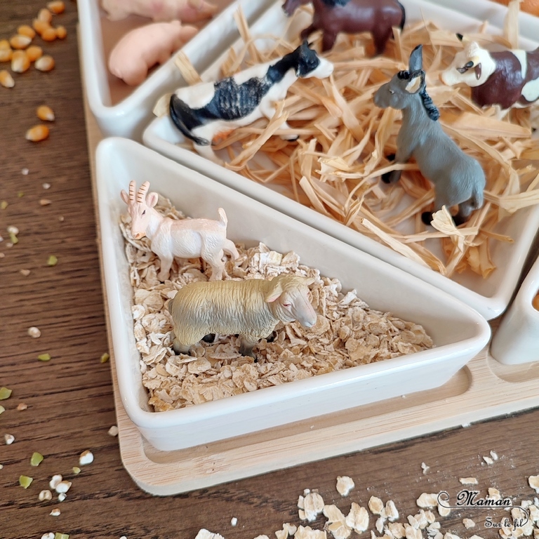 Activité créative et sensorielle pour enfants - Bac sensoriel des animaux de la ferme - Plusieurs compartiments comme invitation à jouer - Mini monde de la ferme - Cochons et boue en pâte à patouille, Oobleck - Poules, coqs, poussins et grains de maïs - Chevaux, ânes, vaches et raffia pour faire la paille - Lapins et mélange orge et pois cassés - Moutons et chèvre et flocons d'avoine - céréales - Différentes textures - Patouille, motricité fine, jeu libre, exploration, sensoriel - Bricolage facile et rapide pour un thème sur les animaux de la ferme, l'alimentation ou l'agriculture - Atelier Maternelle et élémentaire - Créativité - Cycle 1 ou 2 - tutoriel photos et vidéos - mslf