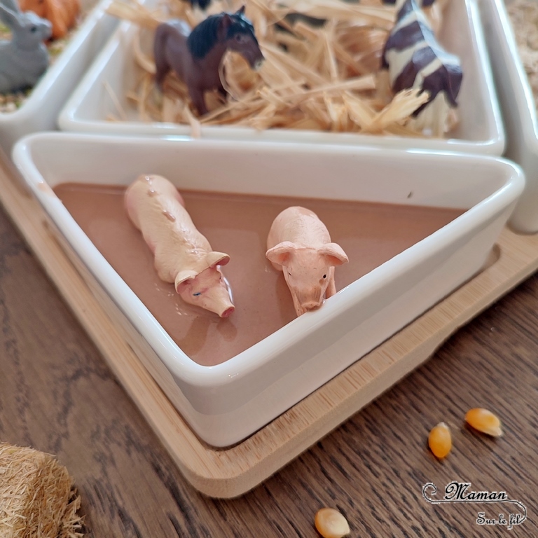 Activité créative et sensorielle pour enfants - Bac sensoriel des animaux de la ferme - Plusieurs compartiments comme invitation à jouer - Mini monde de la ferme - Cochons et boue en pâte à patouille, Oobleck - Poules, coqs, poussins et grains de maïs - Chevaux, ânes, vaches et raffia pour faire la paille - Lapins et mélange orge et pois cassés - Moutons et chèvre et flocons d'avoine - céréales - Différentes textures - Patouille, motricité fine, jeu libre, exploration, sensoriel - Bricolage facile et rapide pour un thème sur les animaux de la ferme, l'alimentation ou l'agriculture - Atelier Maternelle et élémentaire - Créativité - Cycle 1 ou 2 - tutoriel photos et vidéos - mslf