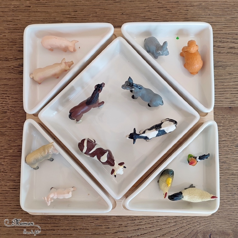 Activité créative et sensorielle pour enfants - Bac sensoriel des animaux de la ferme - Plusieurs compartiments comme invitation à jouer - Mini monde de la ferme - Cochons et boue en pâte à patouille, Oobleck - Poules, coqs, poussins et grains de maïs - Chevaux, ânes, vaches et raffia pour faire la paille - Lapins et mélange orge et pois cassés - Moutons et chèvre et flocons d'avoine - céréales - Différentes textures - Patouille, motricité fine, jeu libre, exploration, sensoriel - Bricolage facile et rapide pour un thème sur les animaux de la ferme, l'alimentation ou l'agriculture - Atelier Maternelle et élémentaire - Créativité - Cycle 1 ou 2 - tutoriel photos et vidéos - mslf