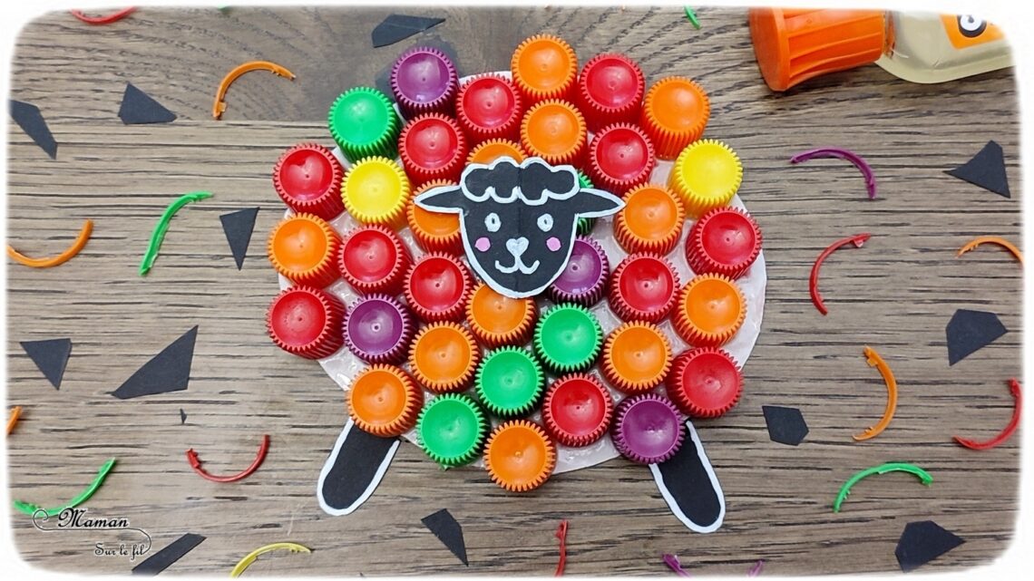 Comment Faire Des Moutons Avec Des Bouchons Videos