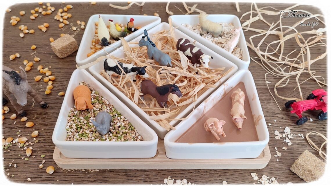 Activité créative et sensorielle pour enfants - Bac sensoriel des animaux de la ferme - Plusieurs compartiments comme invitation à jouer - Mini monde de la ferme - Cochons et boue en pâte à patouille, Oobleck - Poules, coqs, poussins et grains de maïs - Chevaux, ânes, vaches et raffia pour faire la paille - Lapins et mélange orge et pois cassés - Moutons et chèvre et flocons d'avoine - céréales - Différentes textures - Patouille, motricité fine, jeu libre, exploration, sensoriel - Bricolage facile et rapide pour un thème sur les animaux de la ferme, l'alimentation ou l'agriculture - Atelier Maternelle et élémentaire - Créativité - Cycle 1 ou 2 - tutoriel photos et vidéos - mslf