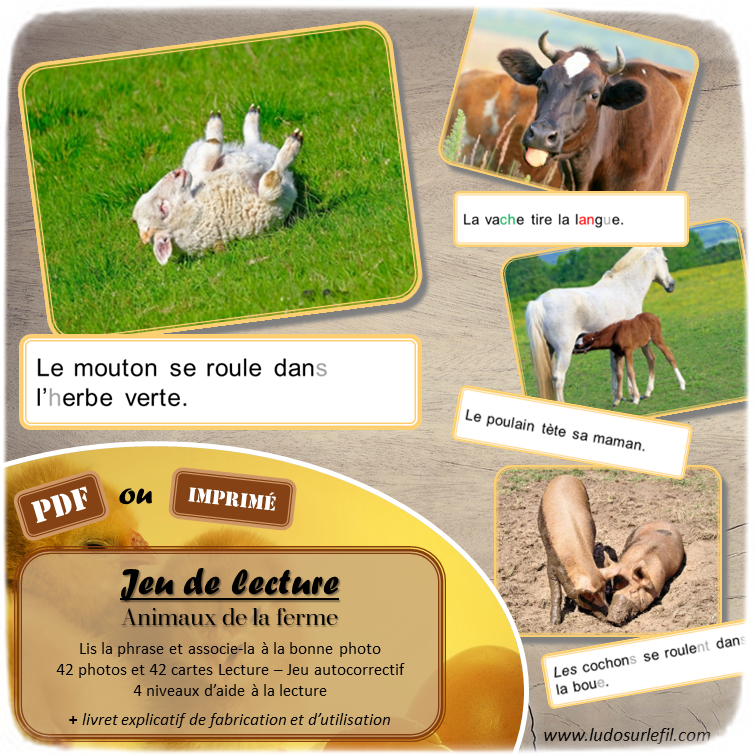 Jeu de lecture - Animaux de la ferme - Lis les phrases sur les cartes et associe-les à la bonne photo - Lecture de phrases, fluence et compréhension de l'écrit - 4 niveaux d'aide à la lecture - Thème Animaux de la ferme - Lexique et Vocabulaire - Atelier autocorrectif et autonome - apprentissage lecture - Cycle 2 - 42 photos - PDF à télécharger et à imprimer ou jeu imprimé - Atelier autonome - lslf