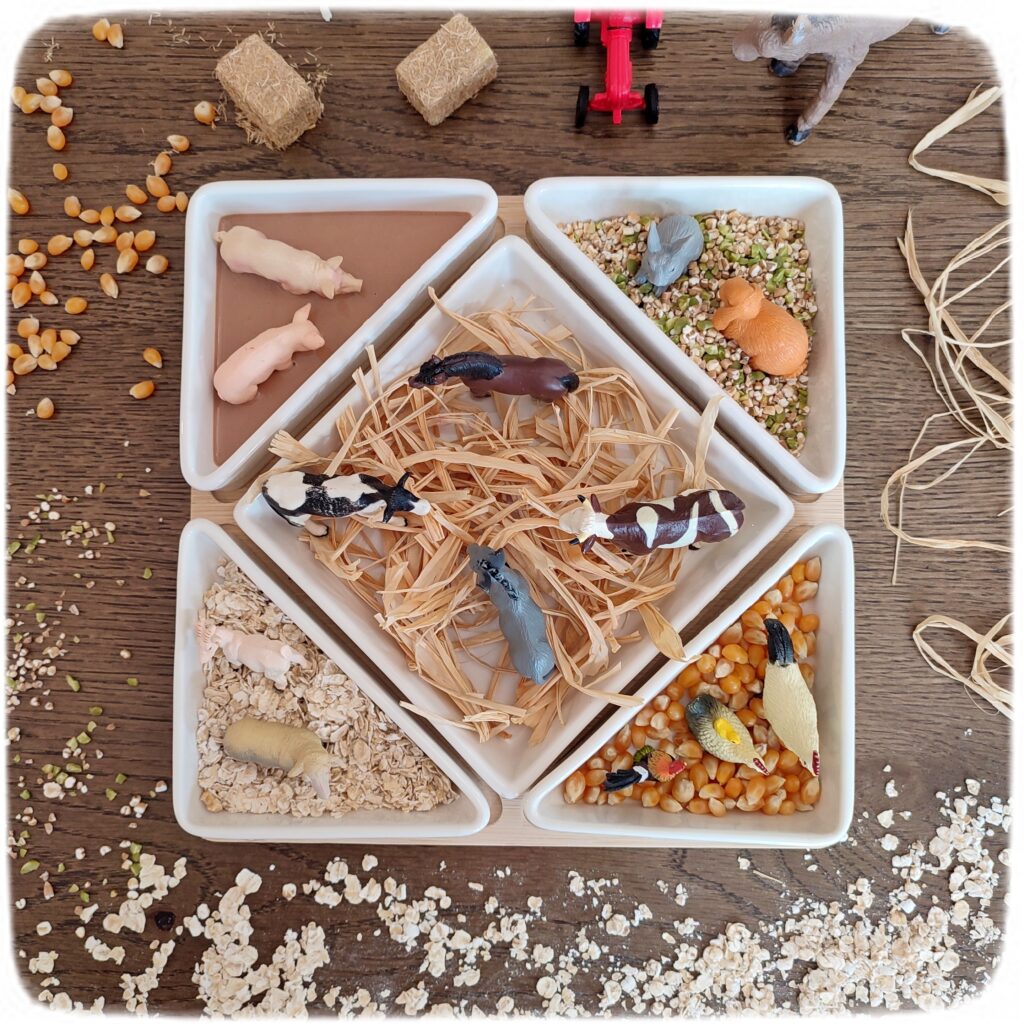 Activité créative et sensorielle pour enfants - Bac sensoriel des animaux de la ferme - Plusieurs compartiments comme invitation à jouer - Mini monde de la ferme - Cochons et boue en pâte à patouille, Oobleck - Poules, coqs, poussins et grains de maïs - Chevaux, ânes, vaches et raffia pour faire la paille - Lapins et mélange orge et pois cassés - Moutons et chèvre et flocons d'avoine - céréales - Différentes textures - Patouille, motricité fine, jeu libre, exploration, sensoriel - Bricolage facile et rapide pour un thème sur les animaux de la ferme, l'alimentation ou l'agriculture - Atelier Maternelle et élémentaire - Créativité - Cycle 1 ou 2 - tutoriel photos et vidéos - mslf