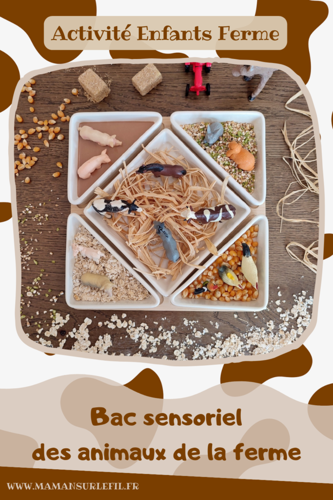 Activité créative et sensorielle pour enfants - Bac sensoriel des animaux de la ferme - Plusieurs compartiments comme invitation à jouer - Mini monde de la ferme - Cochons et boue en pâte à patouille, Oobleck - Poules, coqs, poussins et grains de maïs - Chevaux, ânes, vaches et raffia pour faire la paille - Lapins et mélange orge et pois cassés - Moutons et chèvre et flocons d'avoine - céréales - Différentes textures - Patouille, motricité fine, jeu libre, exploration, sensoriel - Bricolage facile et rapide pour un thème sur les animaux de la ferme, l'alimentation ou l'agriculture - Atelier Maternelle et élémentaire - Créativité - Cycle 1 ou 2 - tutoriel photos et vidéos - mslf