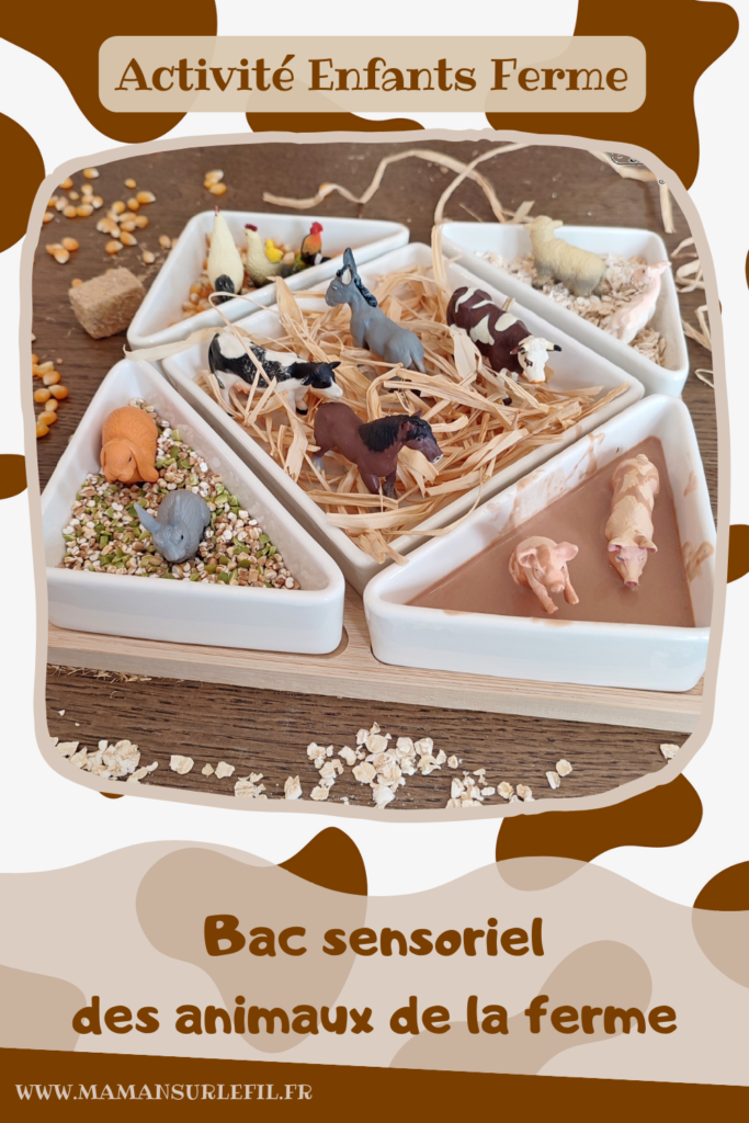 Activité créative et sensorielle pour enfants - Bac sensoriel des animaux de la ferme - Plusieurs compartiments comme invitation à jouer - Mini monde de la ferme - Cochons et boue en pâte à patouille, Oobleck - Poules, coqs, poussins et grains de maïs - Chevaux, ânes, vaches et raffia pour faire la paille - Lapins et mélange orge et pois cassés - Moutons et chèvre et flocons d'avoine - céréales - Différentes textures - Patouille, motricité fine, jeu libre, exploration, sensoriel - Bricolage facile et rapide pour un thème sur les animaux de la ferme, l'alimentation ou l'agriculture - Atelier Maternelle et élémentaire - Créativité - Cycle 1 ou 2 - tutoriel photos et vidéos - mslf