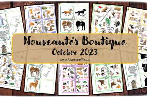 Nouveautés octobre 2023 - Boutique en ligne Ludo sur le fil - fichiers jeux pdf à télécharger et imprimer ou jeux imprimés envoyés à domicile - Animaux de la ferme - Jeu des ombres, de la loupe, des doubles, cherche et trouve - Photos, discrimination visuelle, association, mise en paire - jeux, activités - atelier autocorrectif multi niveaux donc progressif - Vocabulaire, lexique - Maternelle Cycle 2 - Autonomie - mslf