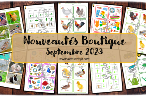 Nouveautés septembre 2023 - Boutique en ligne Ludo sur le fil - fichiers jeux pdf à télécharger et imprimer ou jeux imprimés envoyés à domicile - été, plage et animaux de la ferme - cartes montessori, de nomenclature, classifiées, tickets de lecture, imagier, photos avec fond et fond blanc, parcours codés, repérage spatial, jeu de lecture, association Dessins - Photos, discrimination visuelle, association, mise en paire - lecture, jeux, activités - atelier autocorrectif multi niveaux donc progressif - Vocabulaire, lexique - Maternelle Cycle 2 - Autonomie - mslf