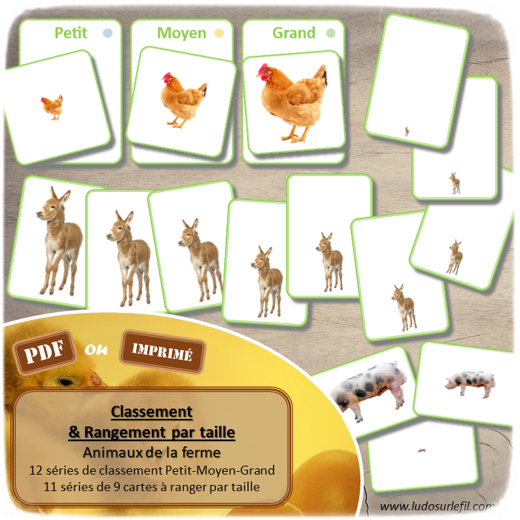 Jeu de classement, de rangement et de tri par taille - Animaux de la ferme et de la basse-cour - Cartes à trier, à classer et à ranger - fichier PDF à télécharger et à imprimer ou jeu imprimé - atelier autocorrectif maternelle et pré-scolaire - lslf