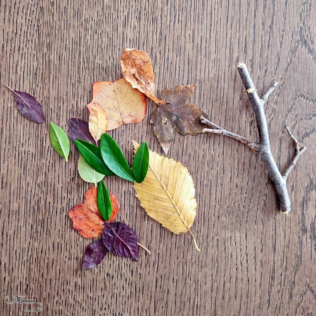 Activité créative et manuelle enfants - Fabriquer une boule à neige automnale avec un vieux bocal - Récup' et Nature - Arbre et feuilles d'automne - Perforer des feuilles mortes - Perforatrice et motricité fine - Thème Automne - Bricolage et décoration facile et rapide - Arts visuels et atelier Maternelle et élémentaire - Créativité - Cycle 1 ou 2 - tutoriel photos - mslf