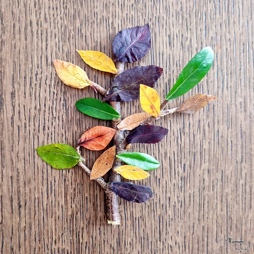 Activité créative et manuelle enfants - Fabriquer une boule à neige automnale avec un vieux bocal - Récup' et Nature - Arbre et feuilles d'automne - Perforer des feuilles mortes - Perforatrice et motricité fine - Thème Automne - Bricolage et décoration facile et rapide - Arts visuels et atelier Maternelle et élémentaire - Créativité - Cycle 1 ou 2 - tutoriel photos - mslf