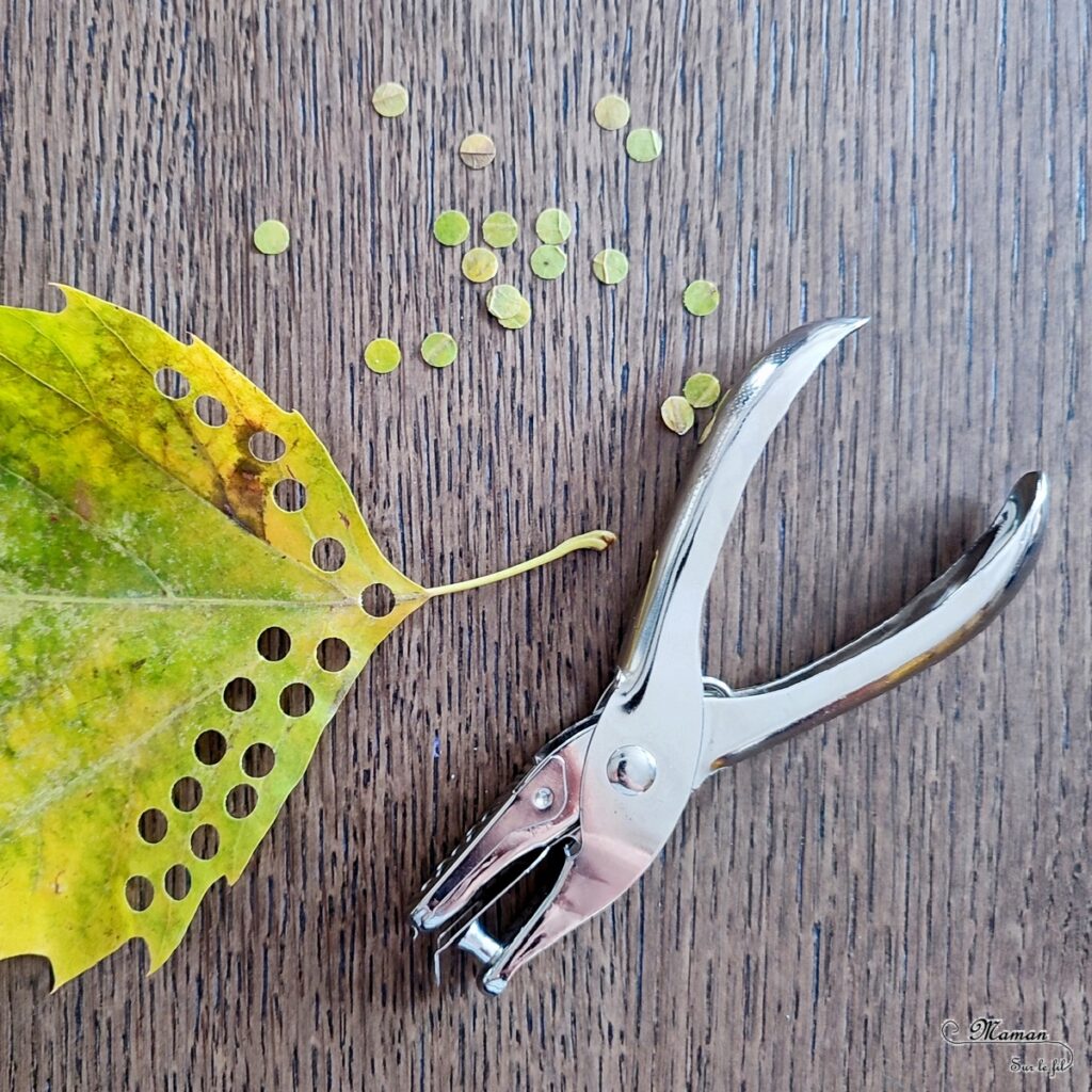 Activité créative et manuelle enfants - Fabriquer une boule à neige automnale avec un vieux bocal - Récup' et Nature - Arbre et feuilles d'automne - Perforer des feuilles mortes - Perforatrice et motricité fine - Thème Automne - Bricolage et décoration facile et rapide - Arts visuels et atelier Maternelle et élémentaire - Créativité - Cycle 1 ou 2 - tutoriel photos - mslf